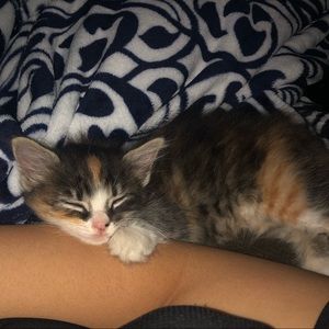 Meet your Posher, Val